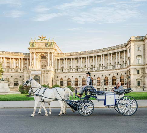 AMA_Vienna_Horse-Drawn-Carriage_small file (1)